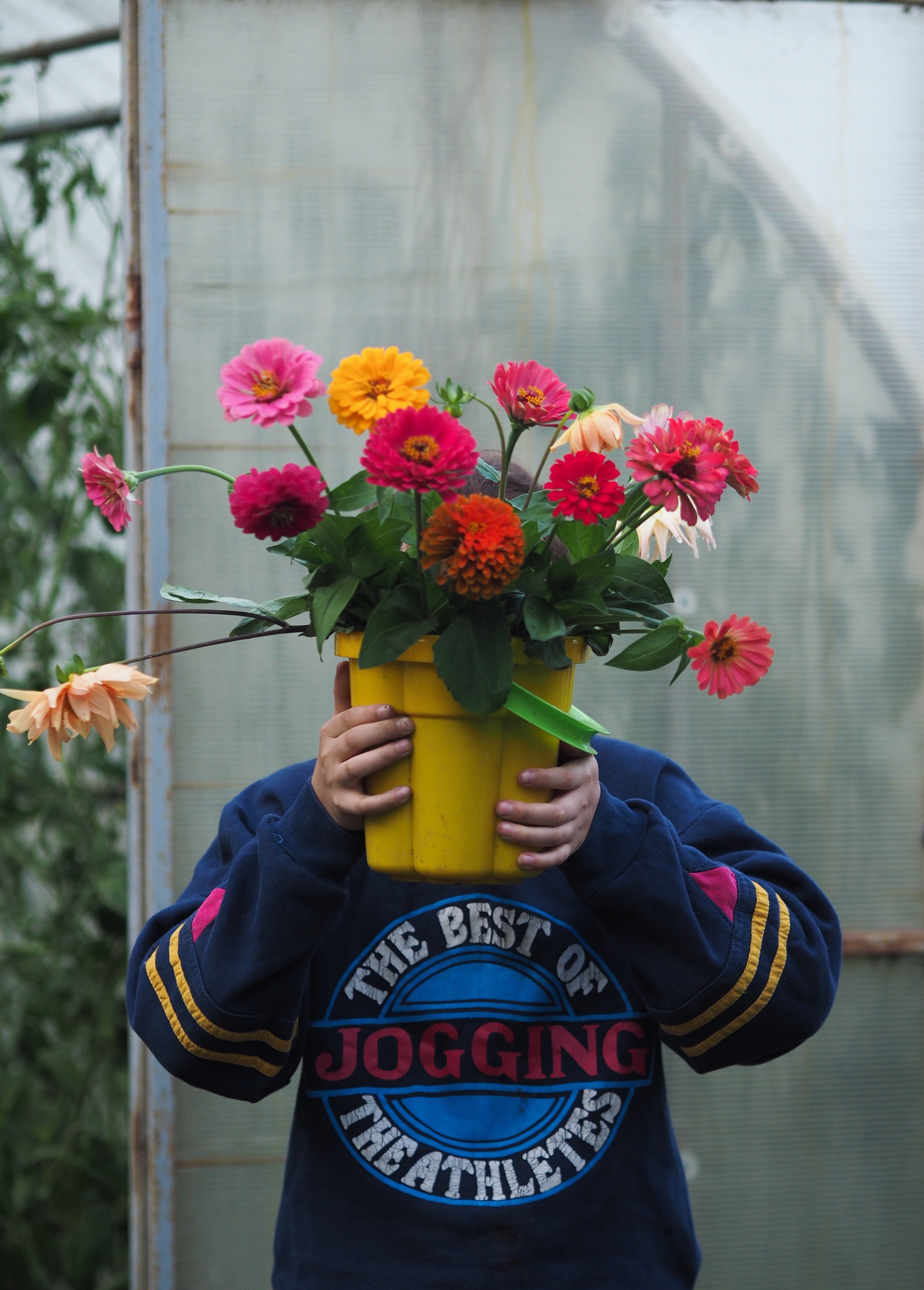 Teenage boy covering his face by holding up a yellow bucket of blooming zinnia's.