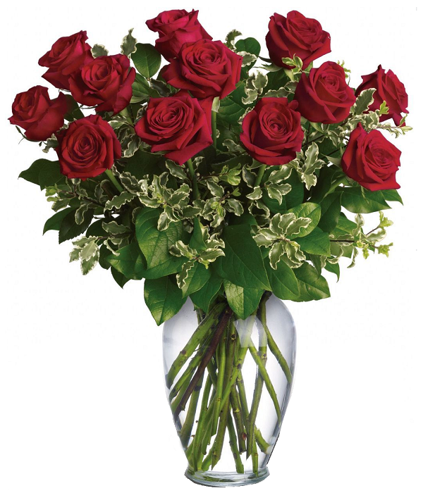 12 roses rouges à tiges extra longues