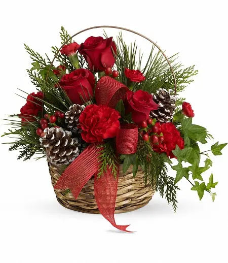 Christmas Glory bloomexusa