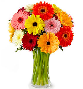 Ramo clásico de gerberas arcoíris