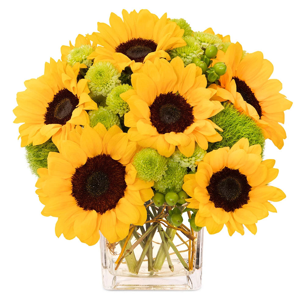 Sorpresa de girasol