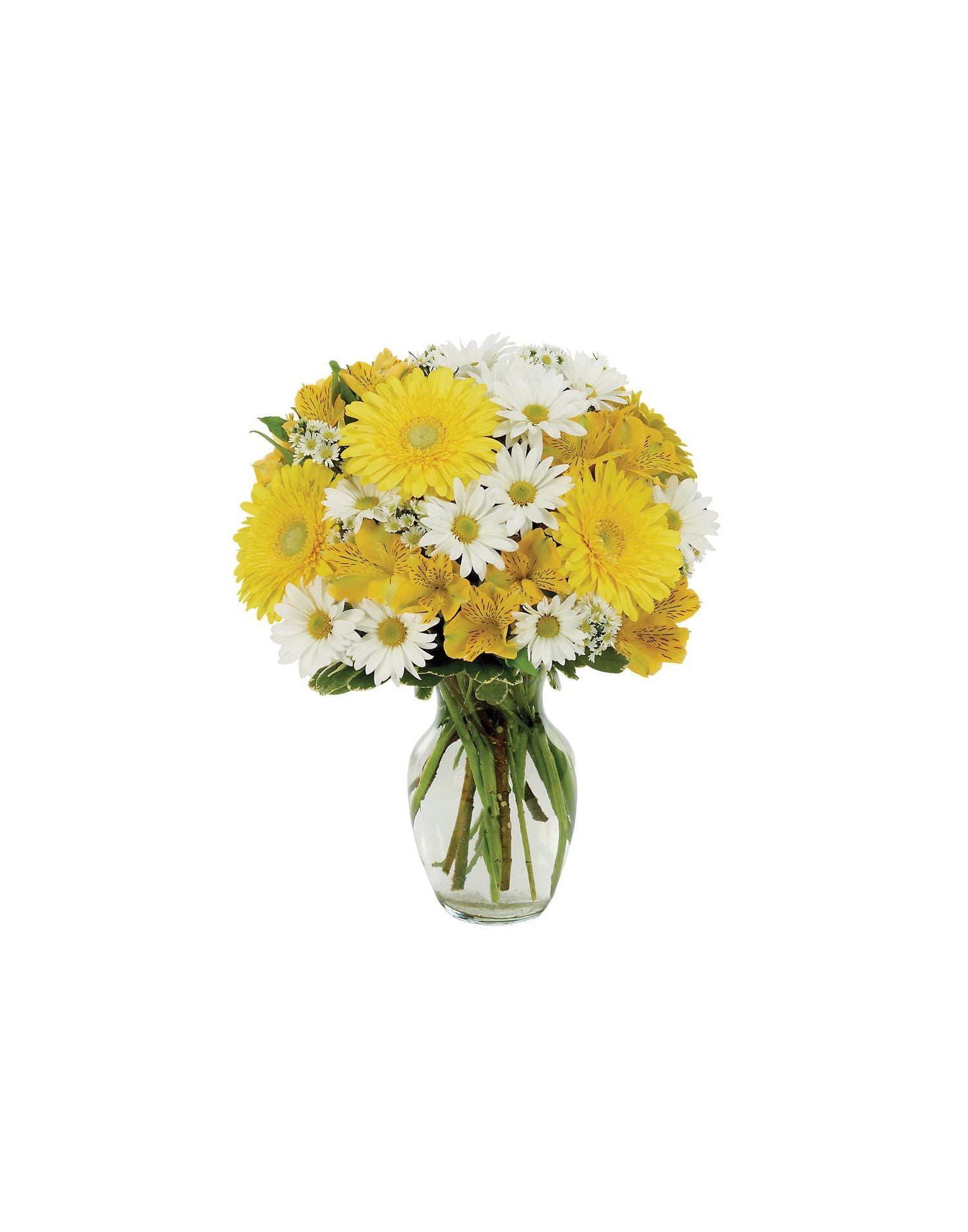 RAMO DE MARGARITAS AL DÍA