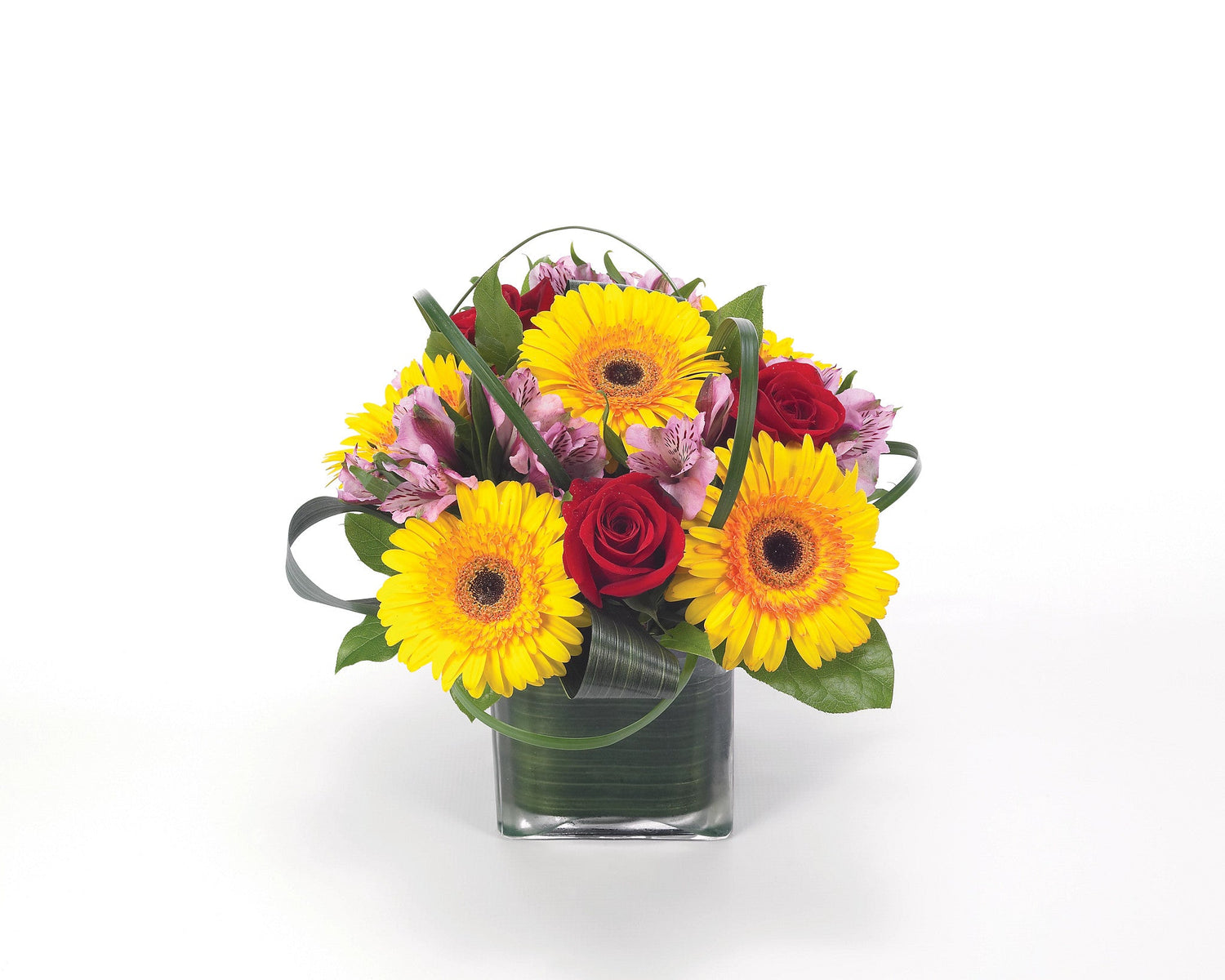Fiesta de gerberas