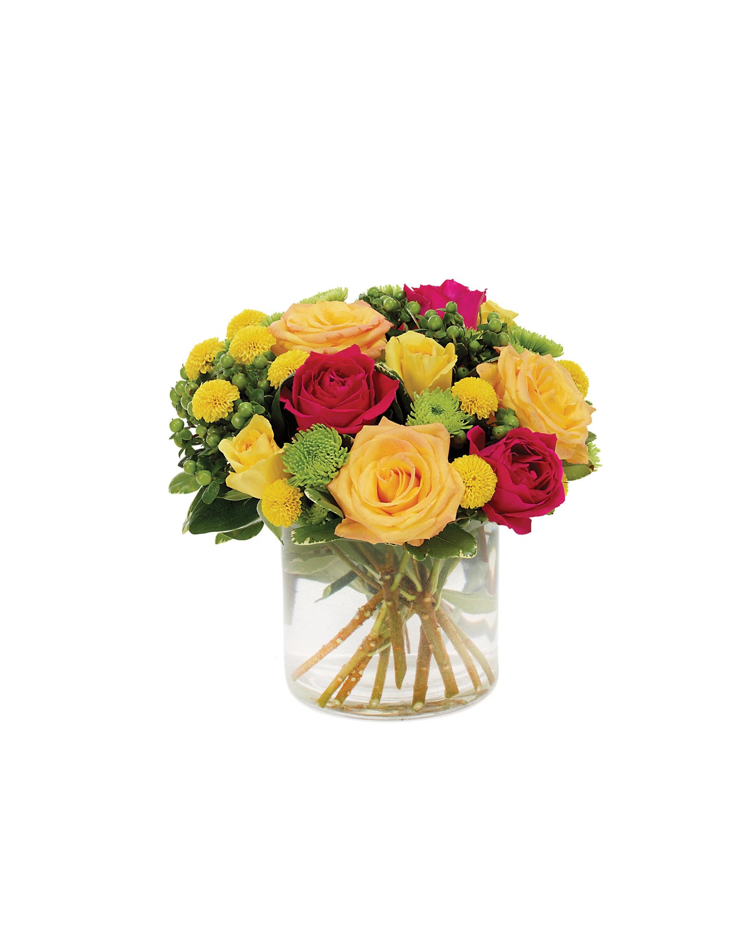 Ramo simplemente sofisticado