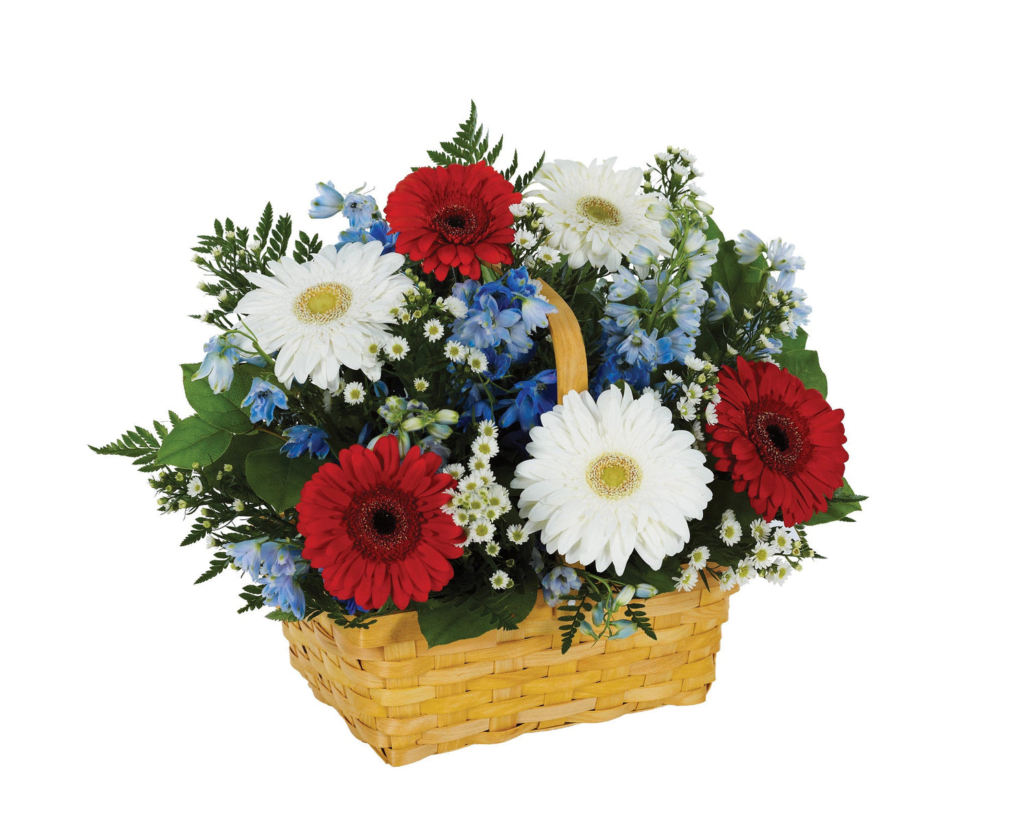 SALUDO A LA CANASTA ROJA, BLANCA Y AZUL