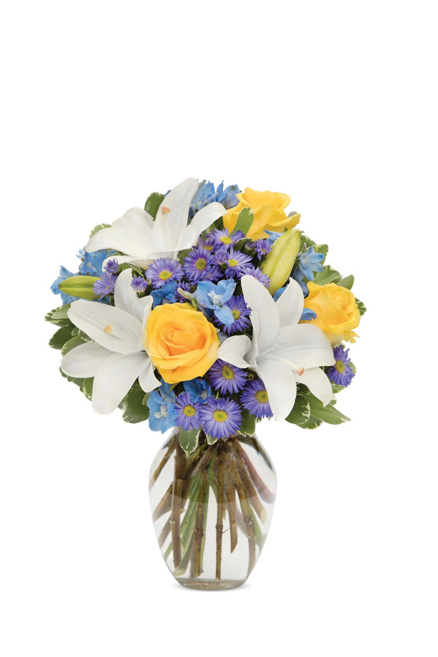 Ramo de cielos azules brillantes