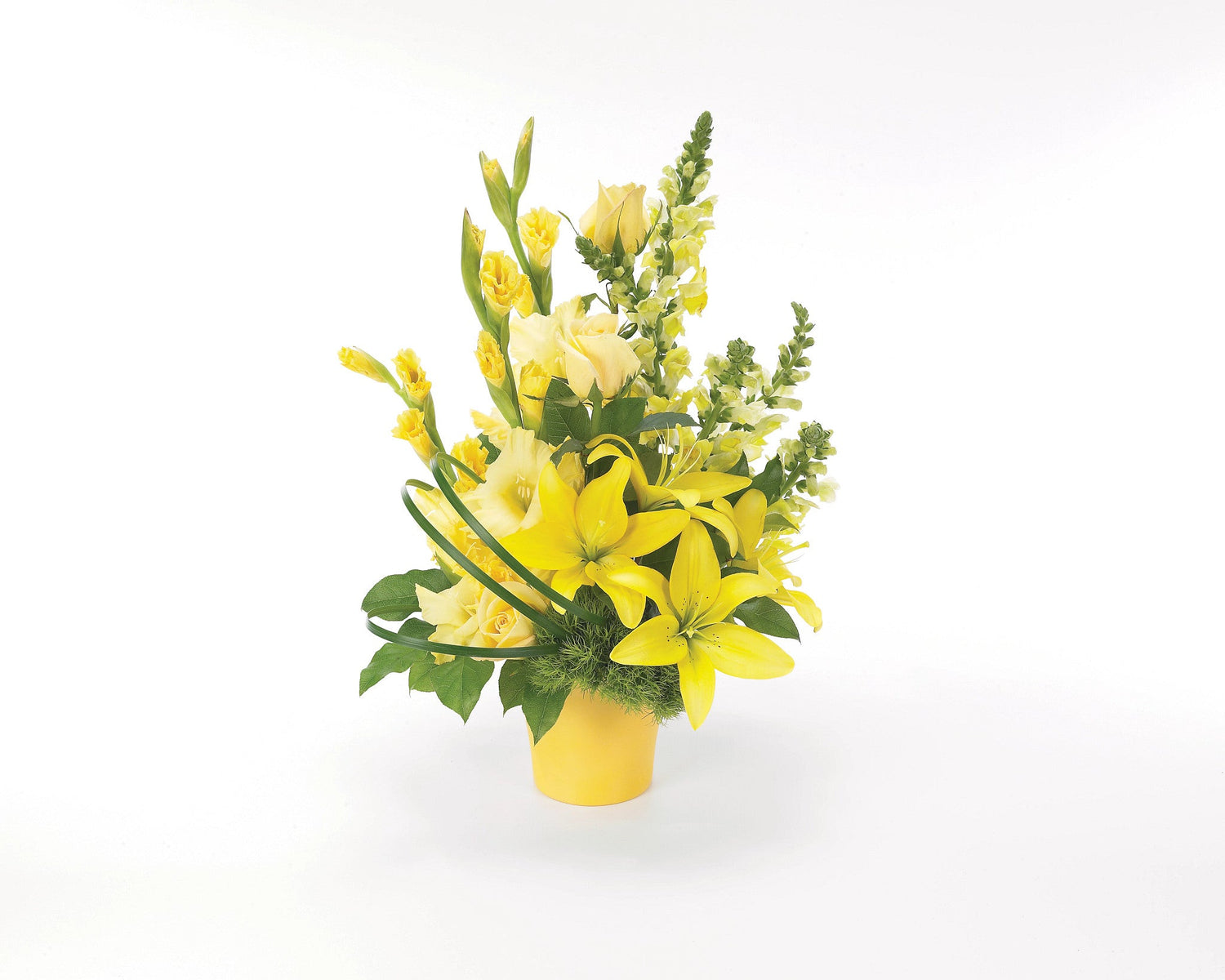 Deja que entre el sol