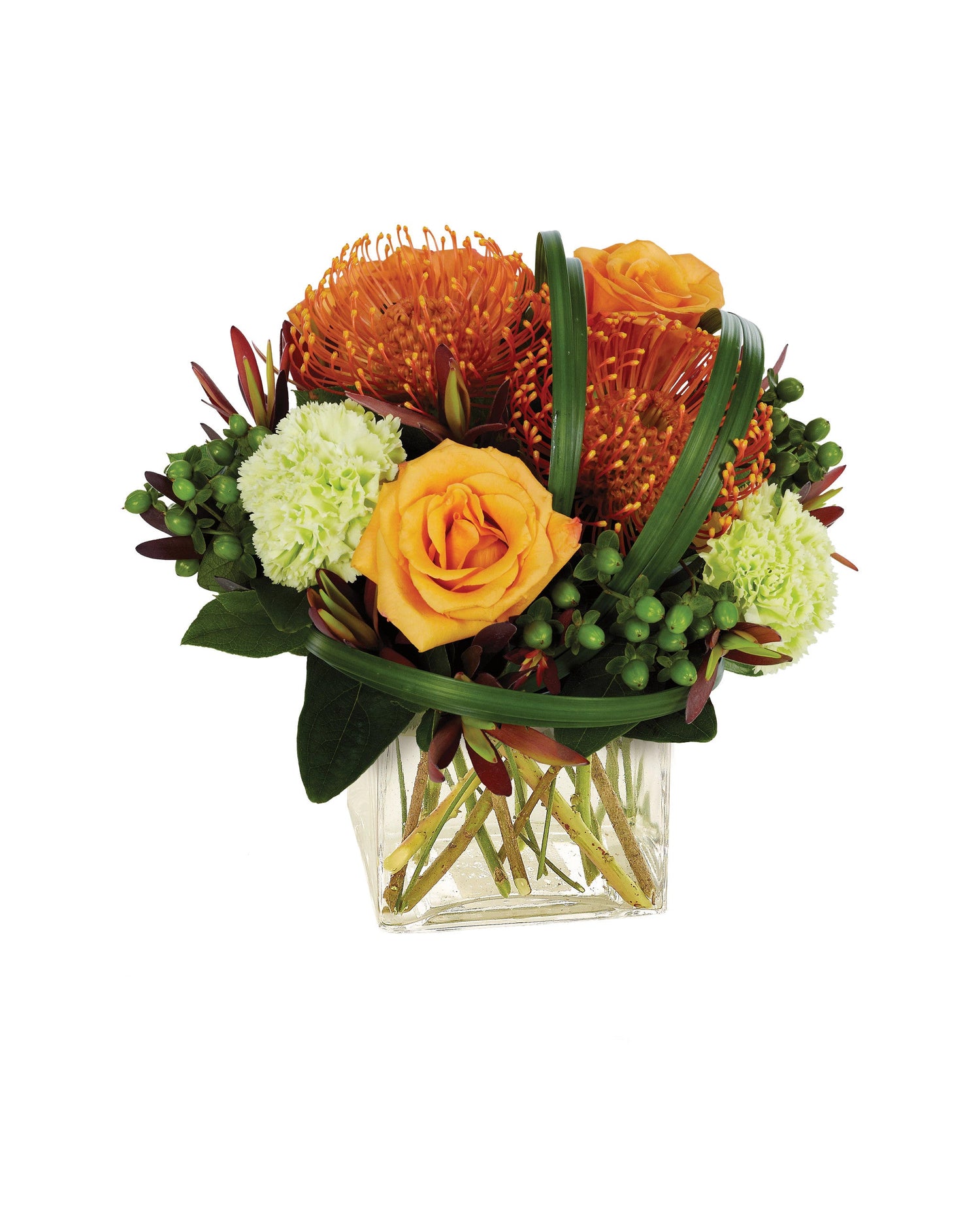 SOFISTICACIÓN TROPICAL