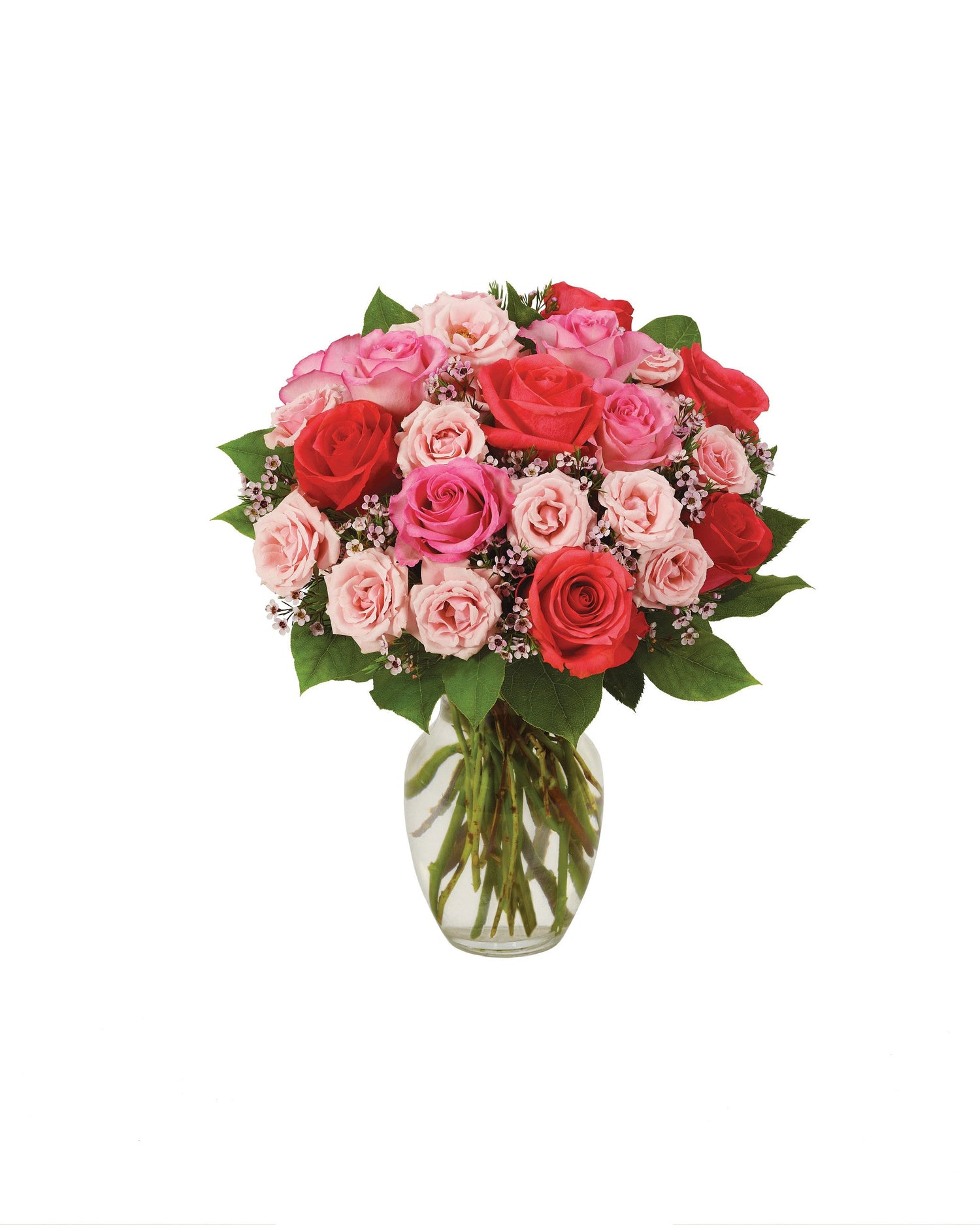 LE PLUS BEAU BOUQUET DE ROSES - ROSE