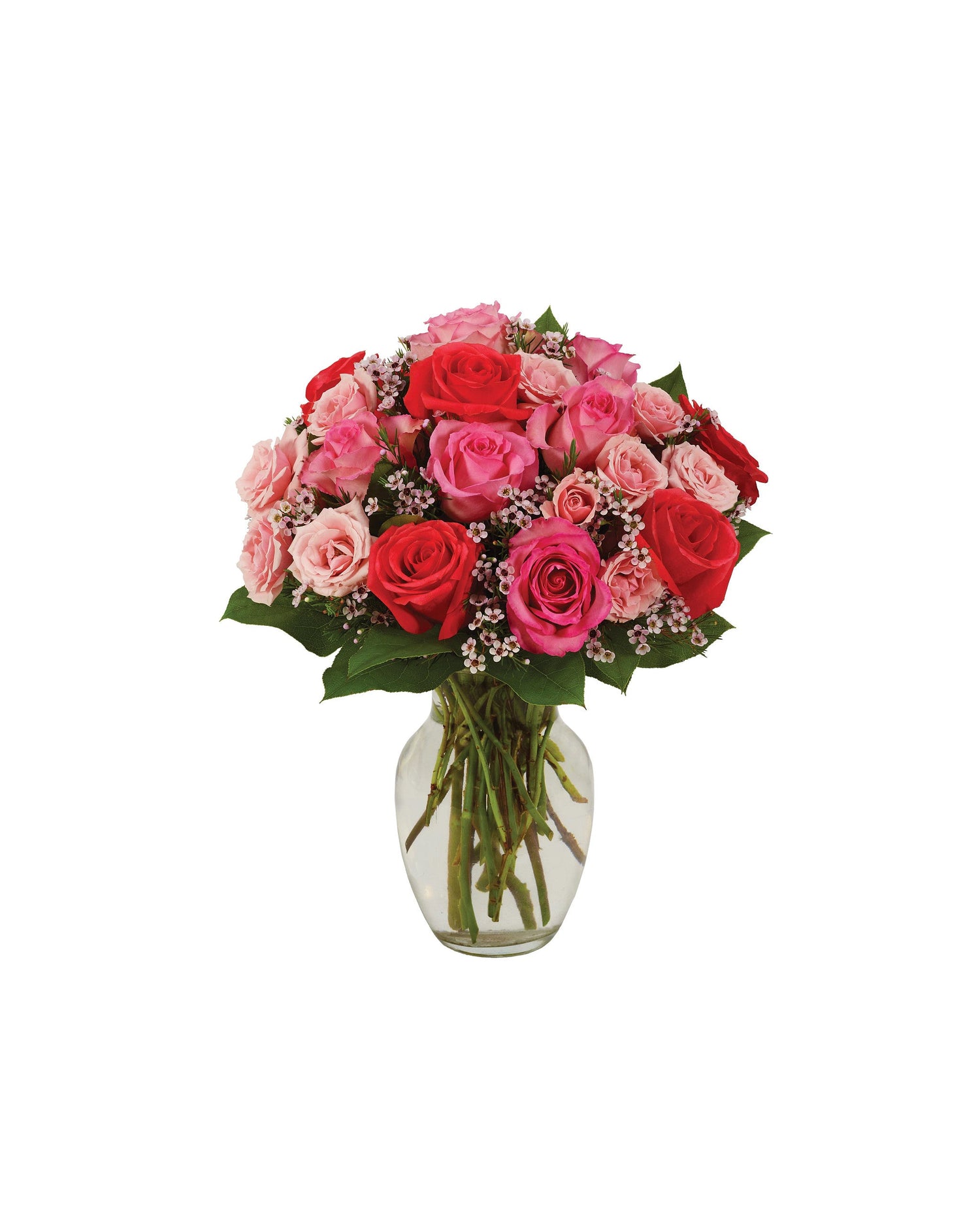 LE PLUS BEAU BOUQUET DE ROSES - ROSE