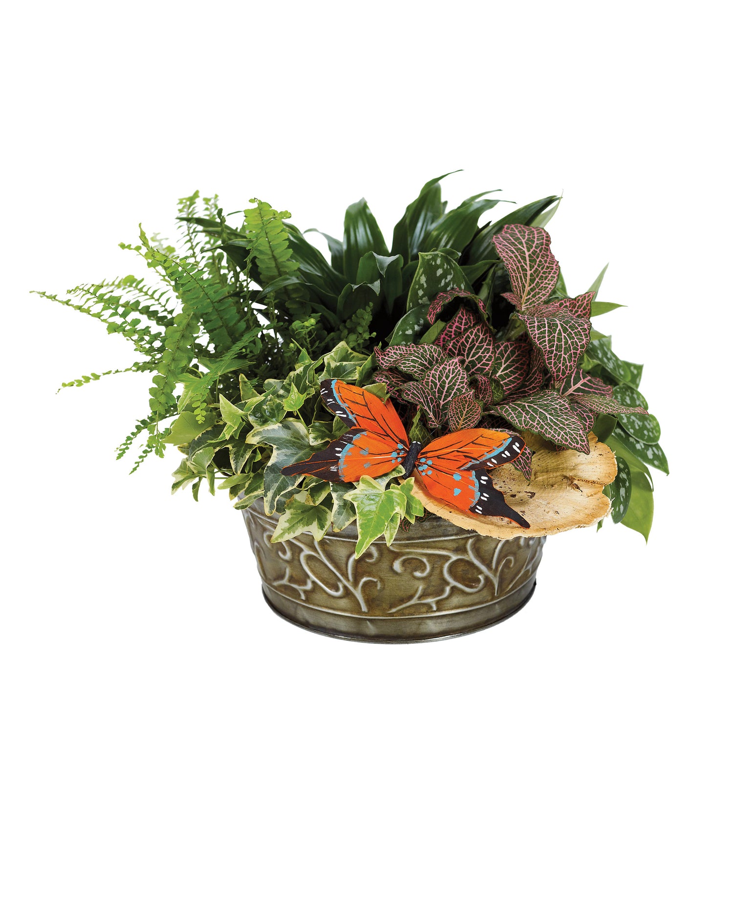 Jardín de platos europeo