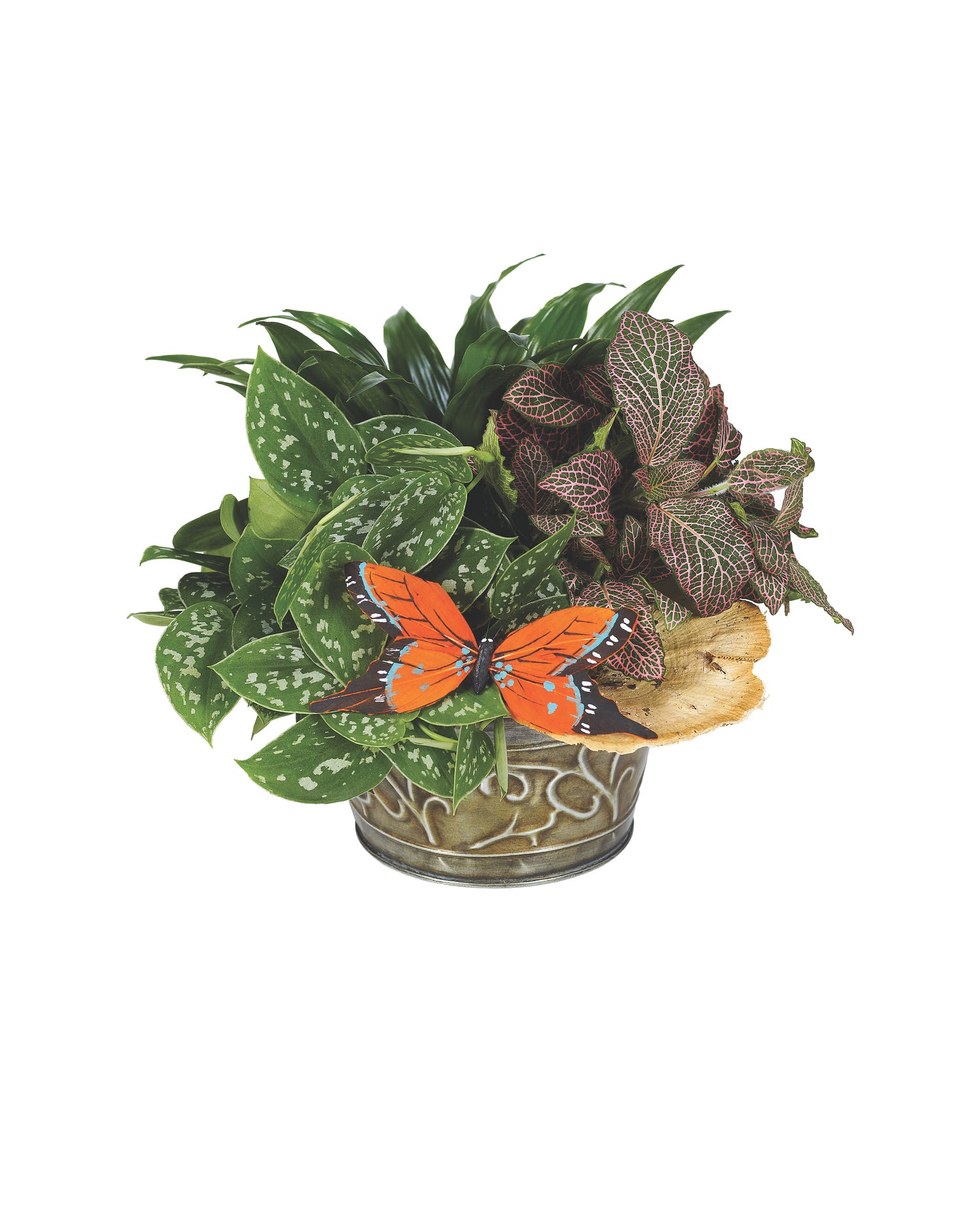 Jardín de platos europeo