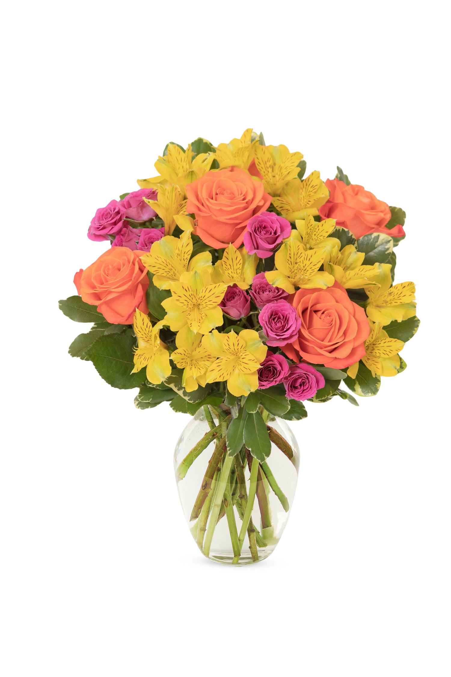 Ramo Un día bajo el sol