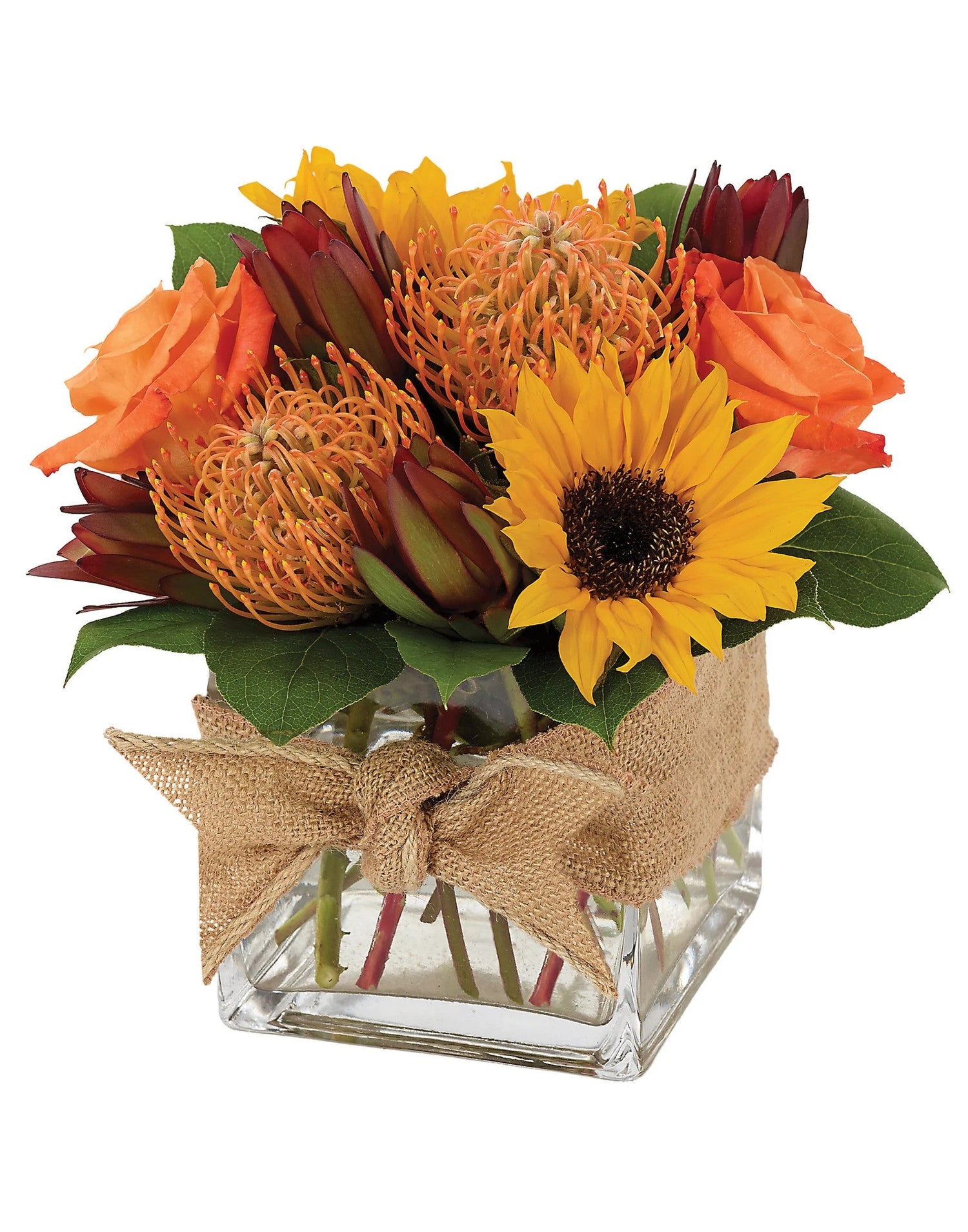 La generosidad de la naturaleza - Otoño