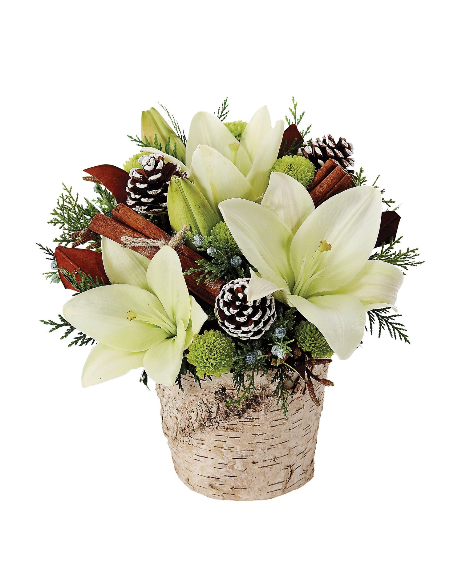 Esplendor del bosque invernal