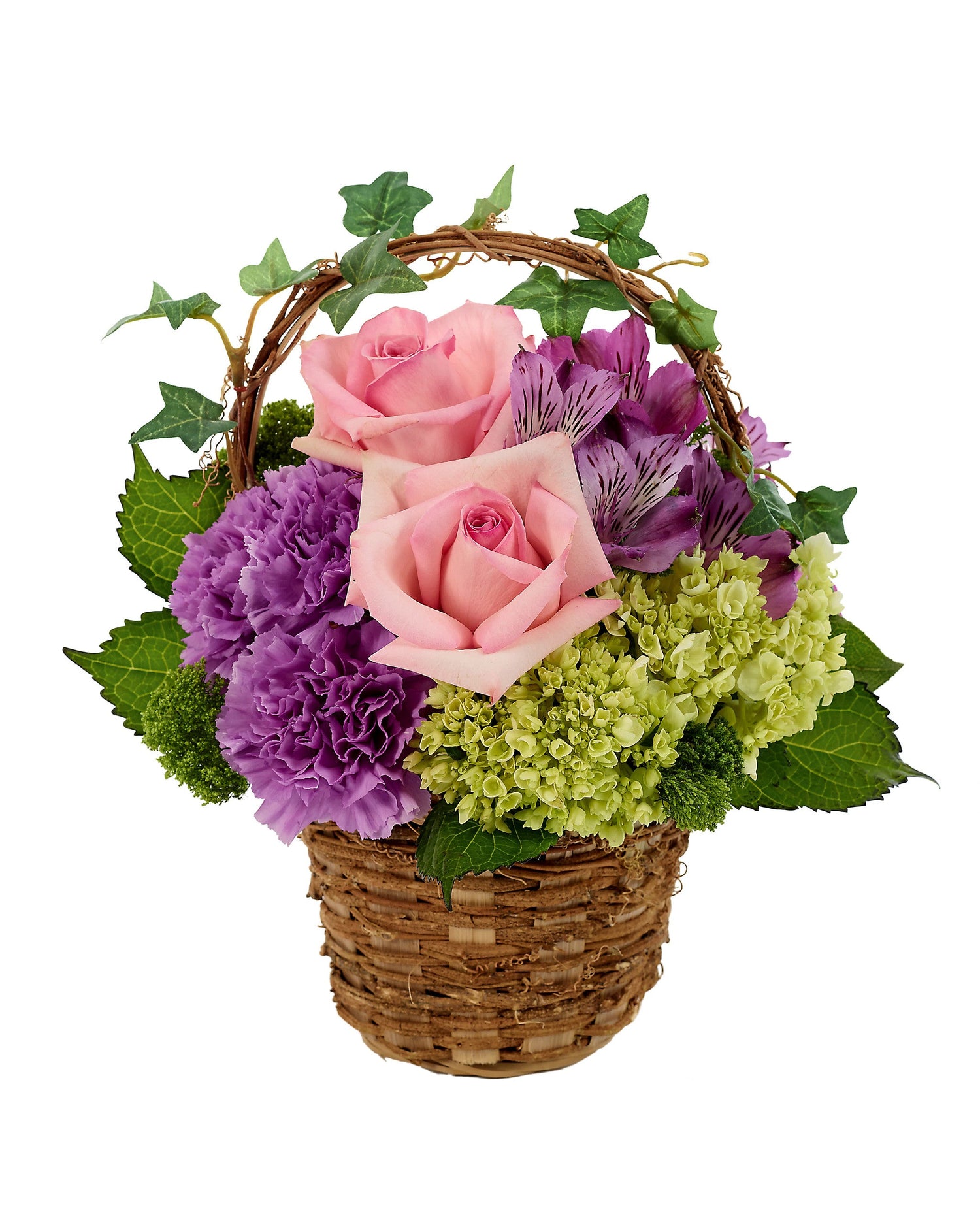 Cesta de hiedra de jardín