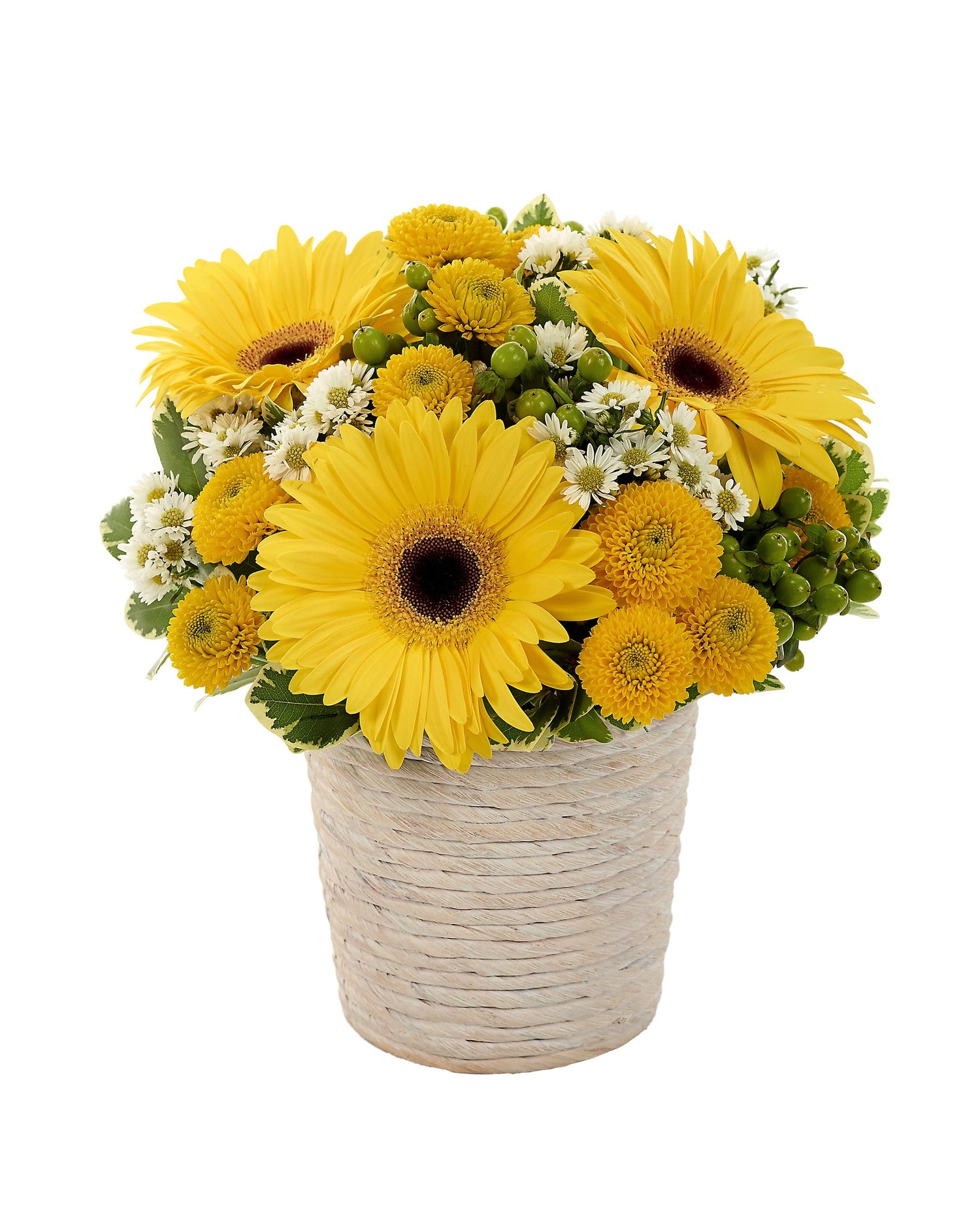 Ramo de ensueño de día soleado