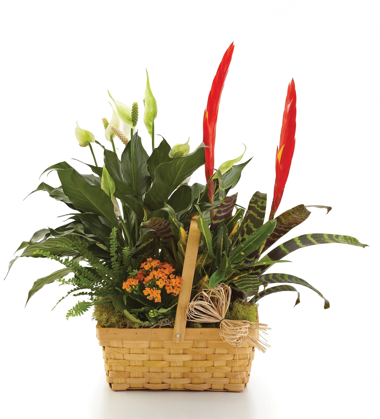 Abundante jardín de platos europeos