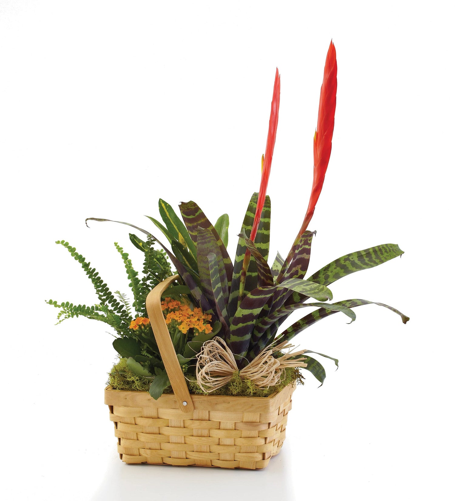 Abundante jardín de platos europeos