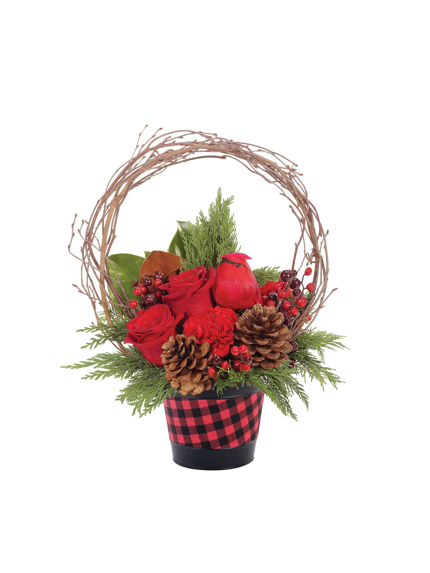 Feliz Navidad Cardenal