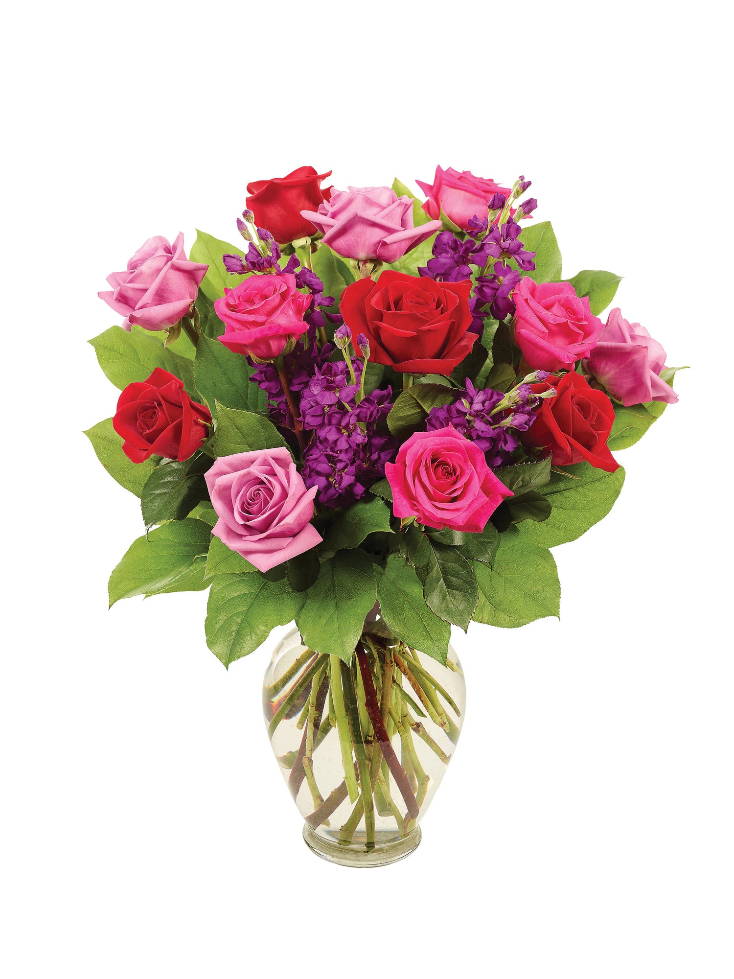 Notre romance radieuse