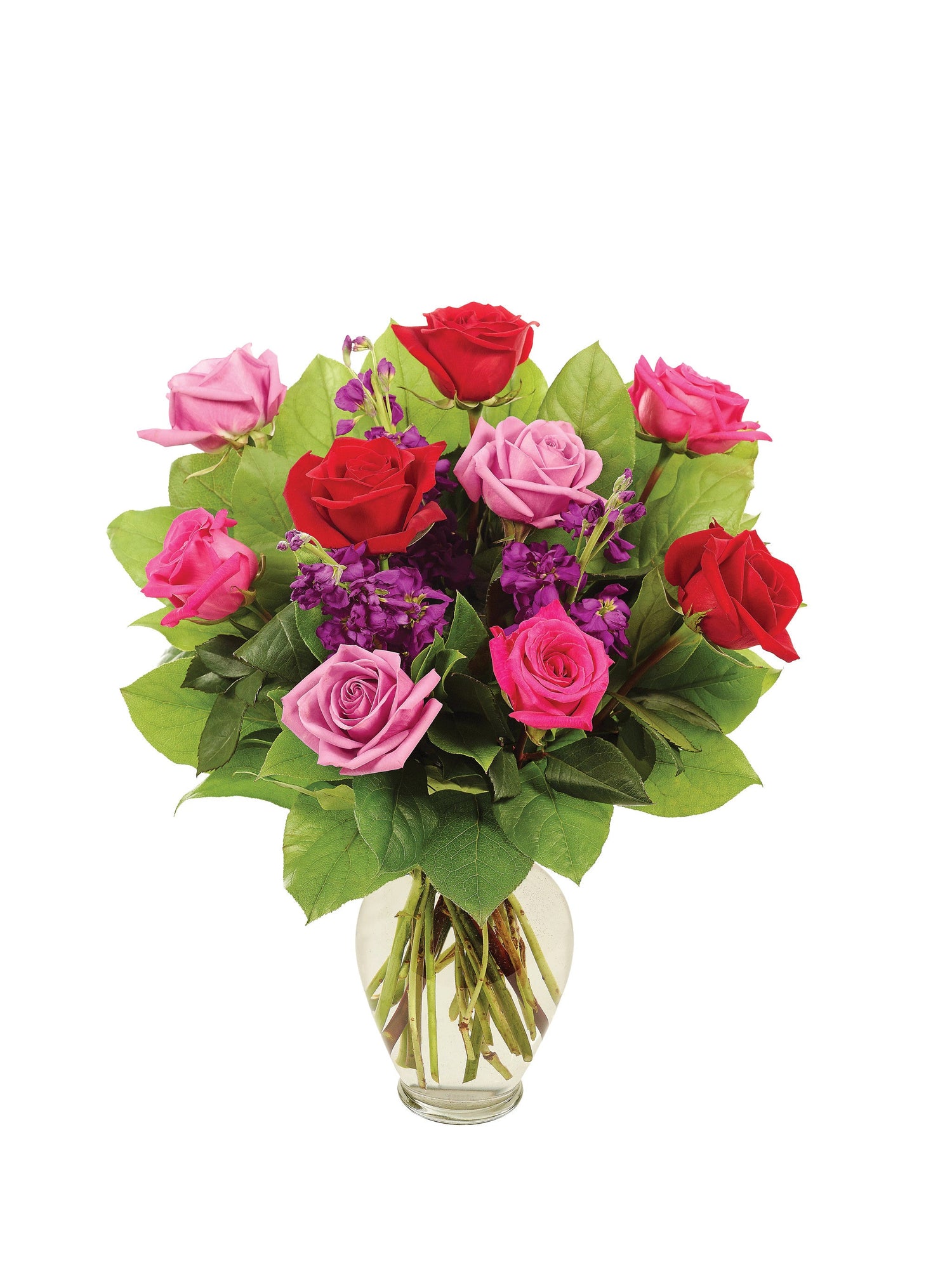 Notre romance radieuse