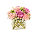 Butterfly Garden Watering Can bloomexusa