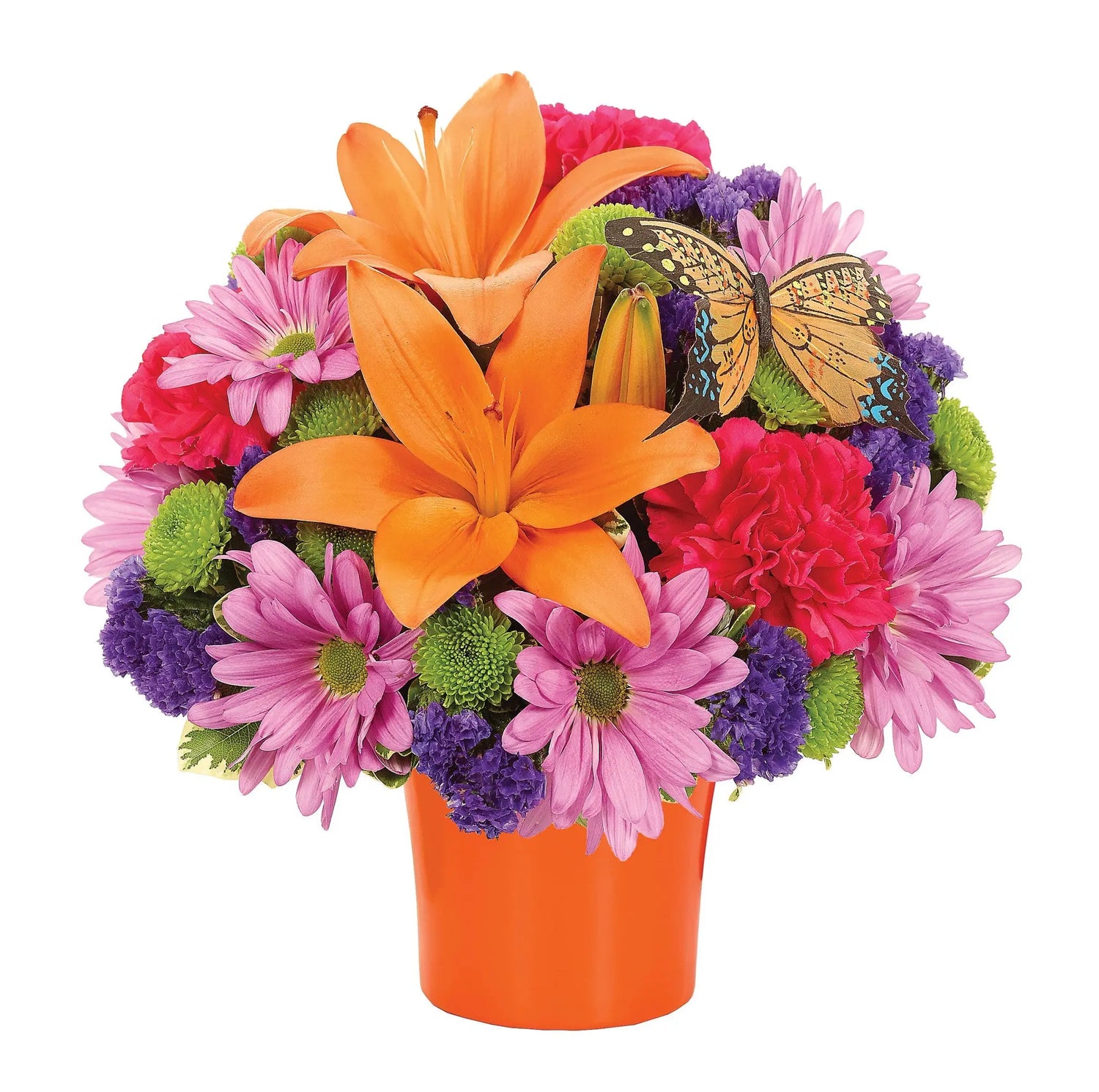 Summer Solstice bloomexusa