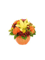Harvest Pumpkin Celebration bloomexusa