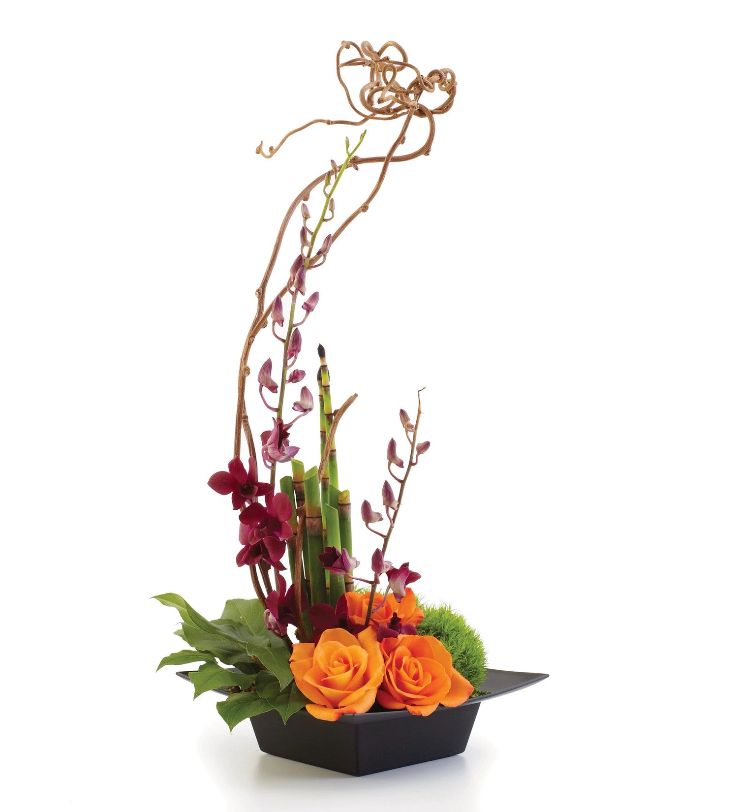 Armonía, Serenidad y Estilo