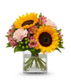 Spring Flowers & Garden Celebration bloomexusa
