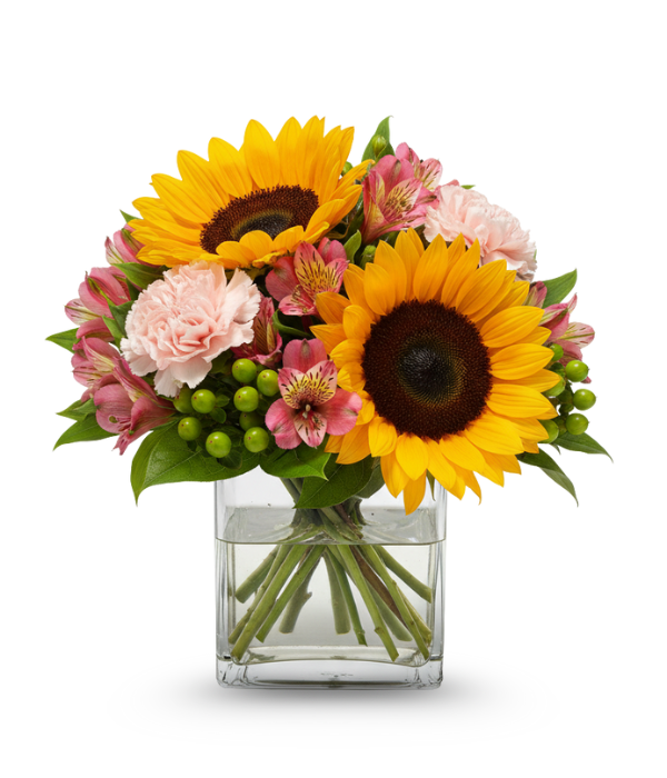 Celebración de flores de primavera y jardín