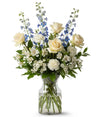 Blue & White Brilliance bloomexusa