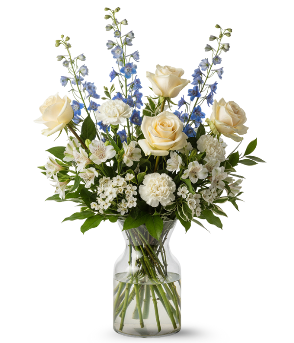 Brillo azul y blanco