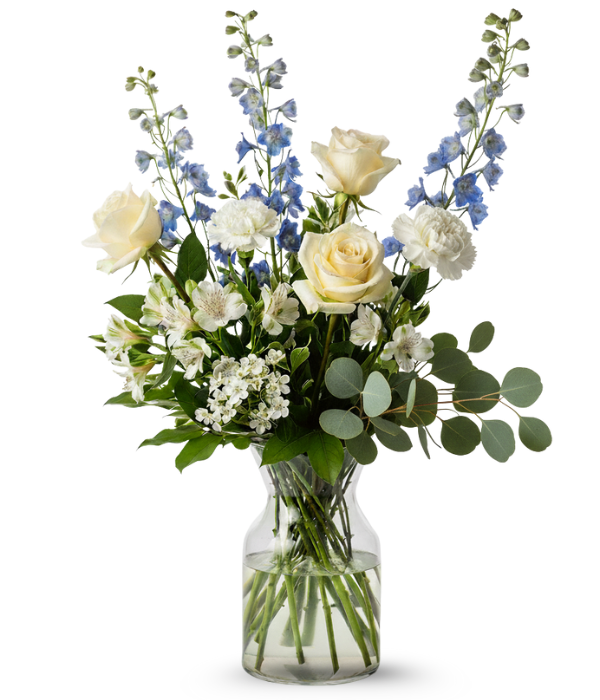 Brillo azul y blanco