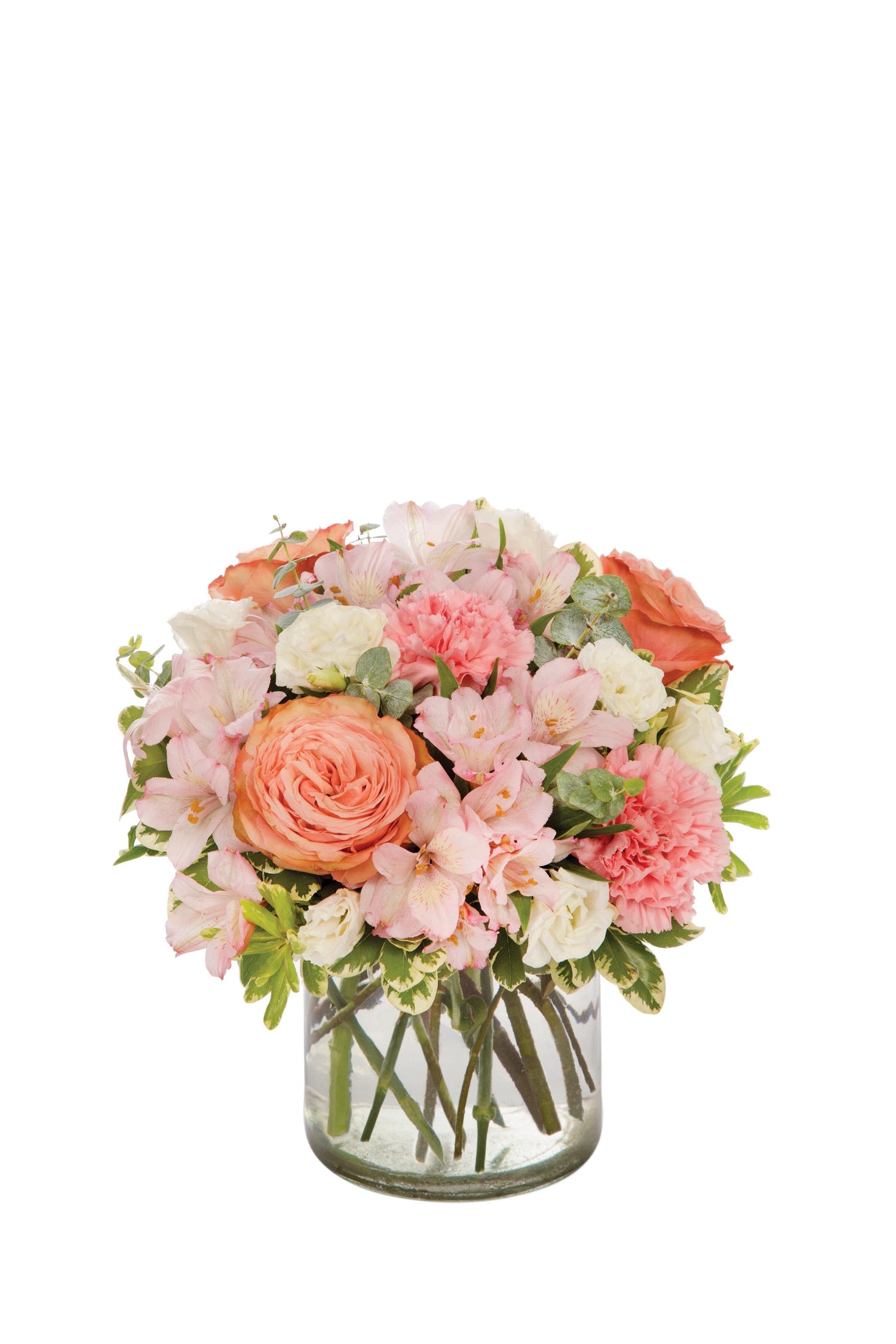 Ramo de melocotón Keen