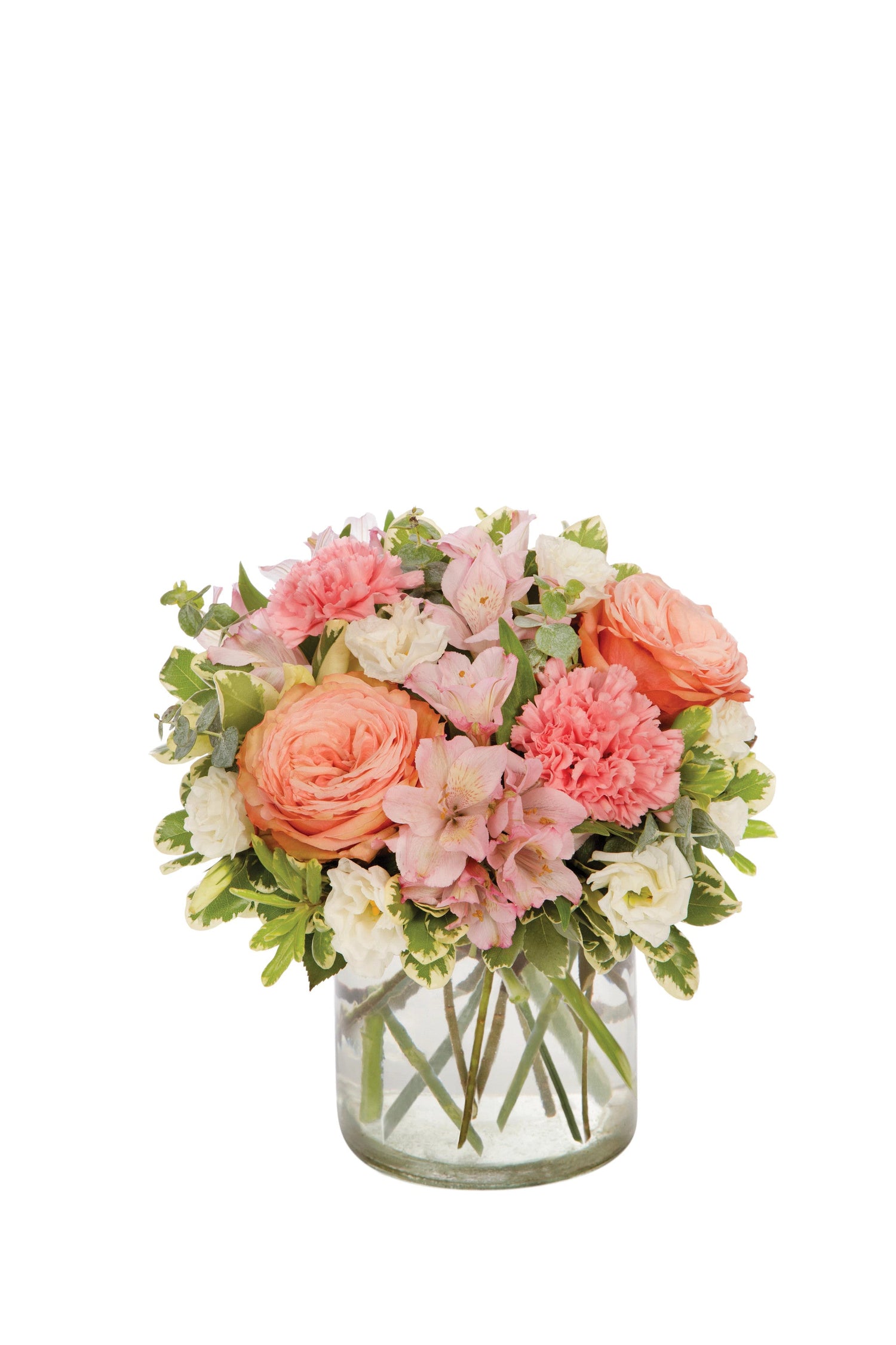 Ramo de melocotón Keen