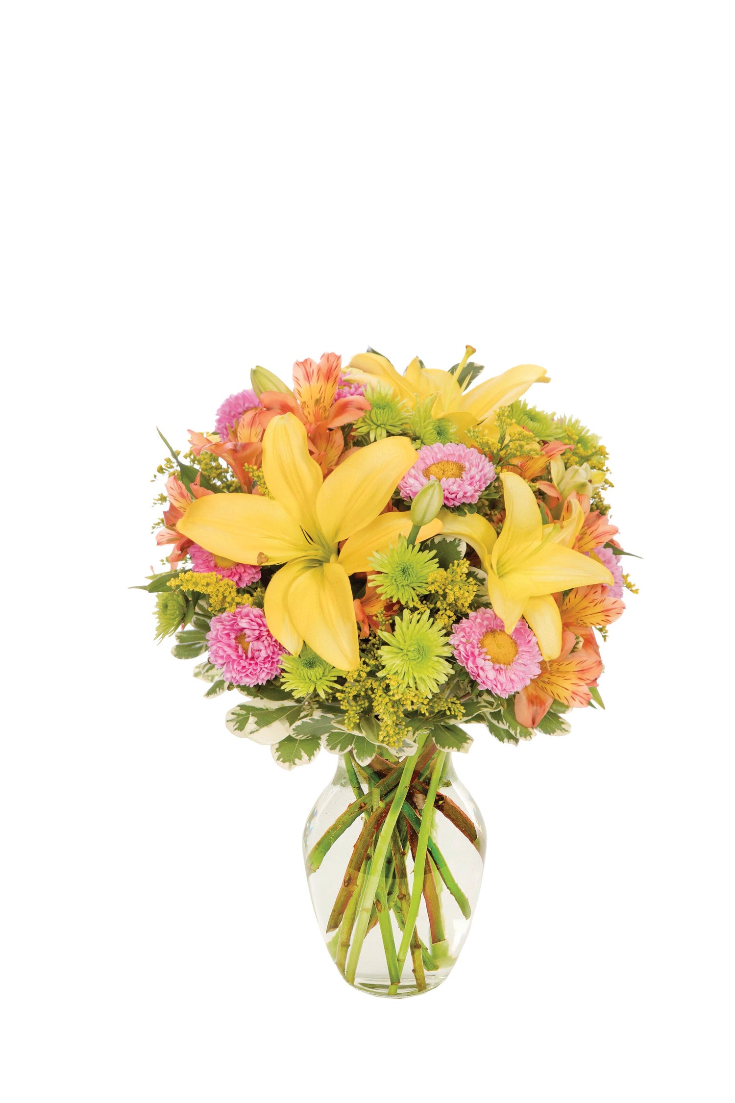 Ramo Sunbursts Brilliance