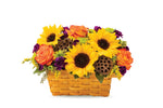 Fall Celebration Basket bloomexusa