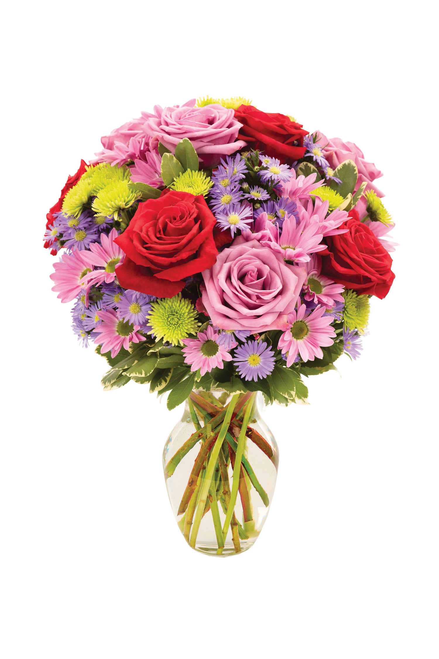 Ramo simplemente espléndido