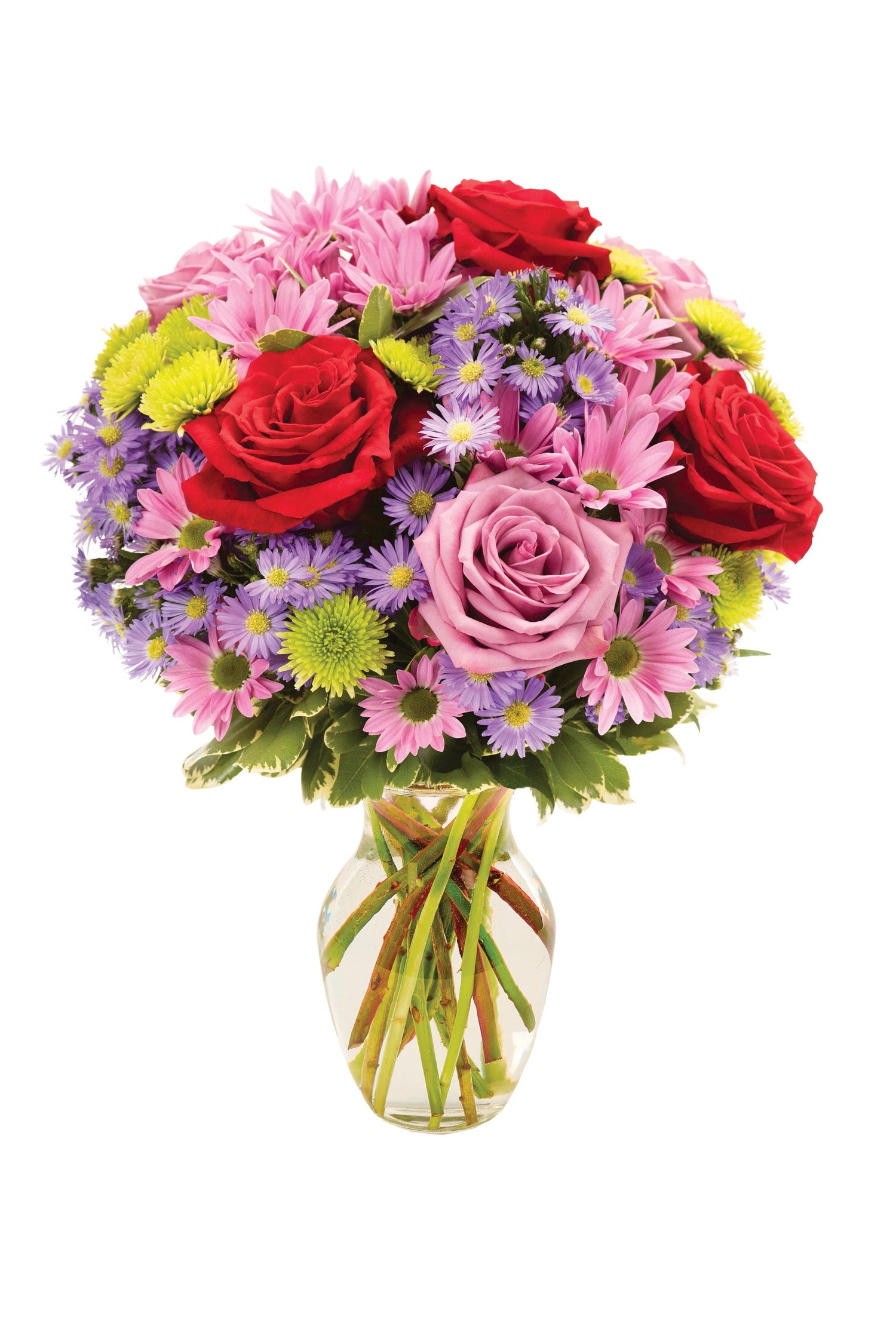 Ramo simplemente espléndido