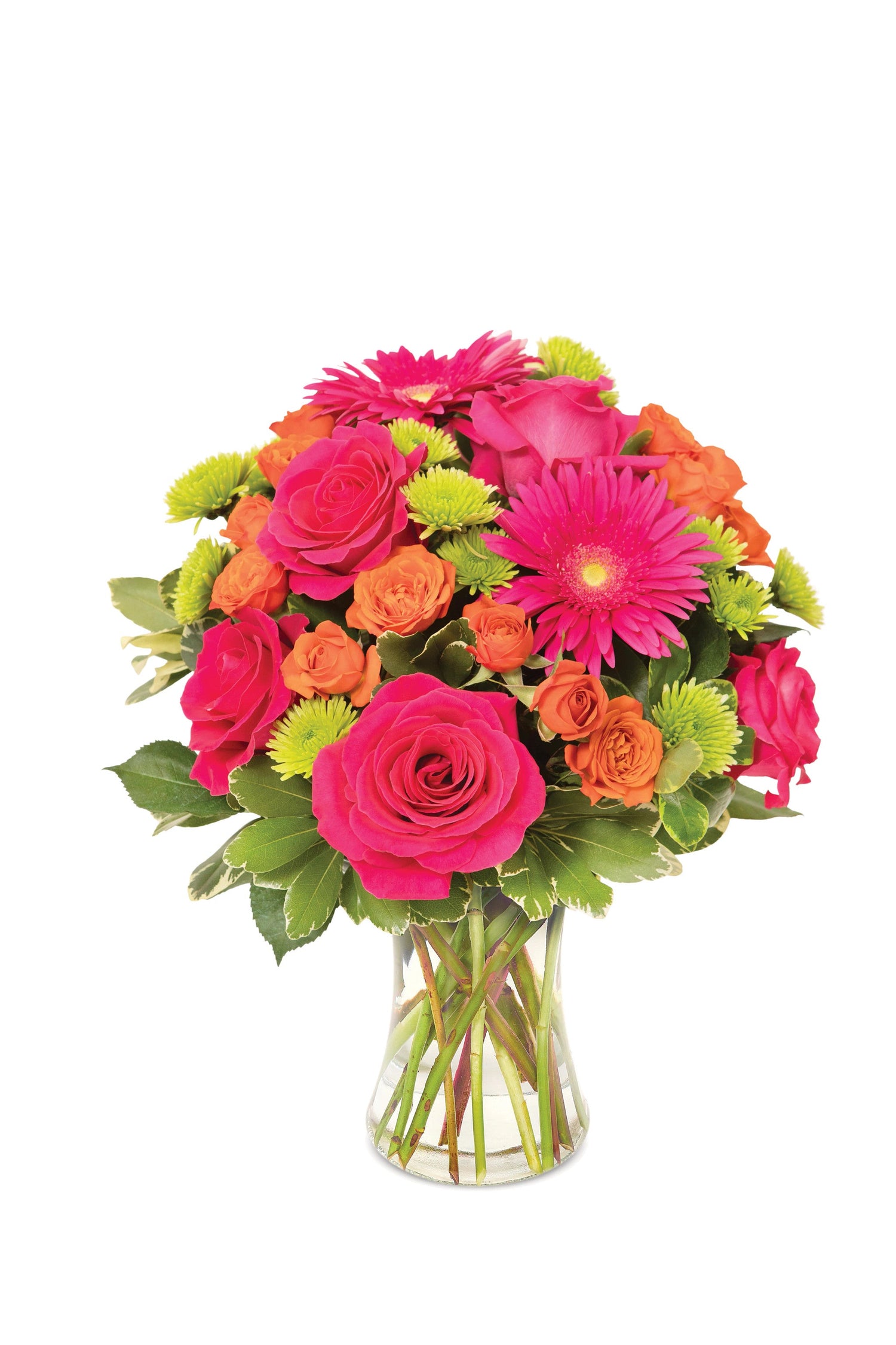 Ramo del Jardín del Edén