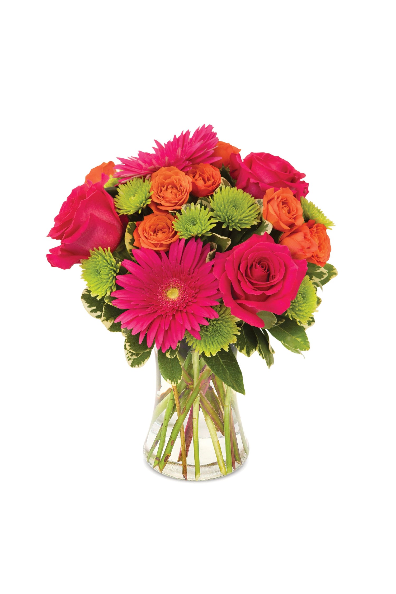 Ramo del Jardín del Edén