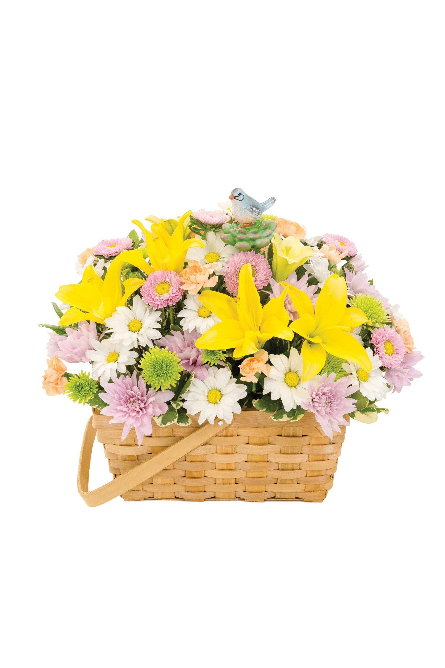 Ramo de pájaros cantores del sol