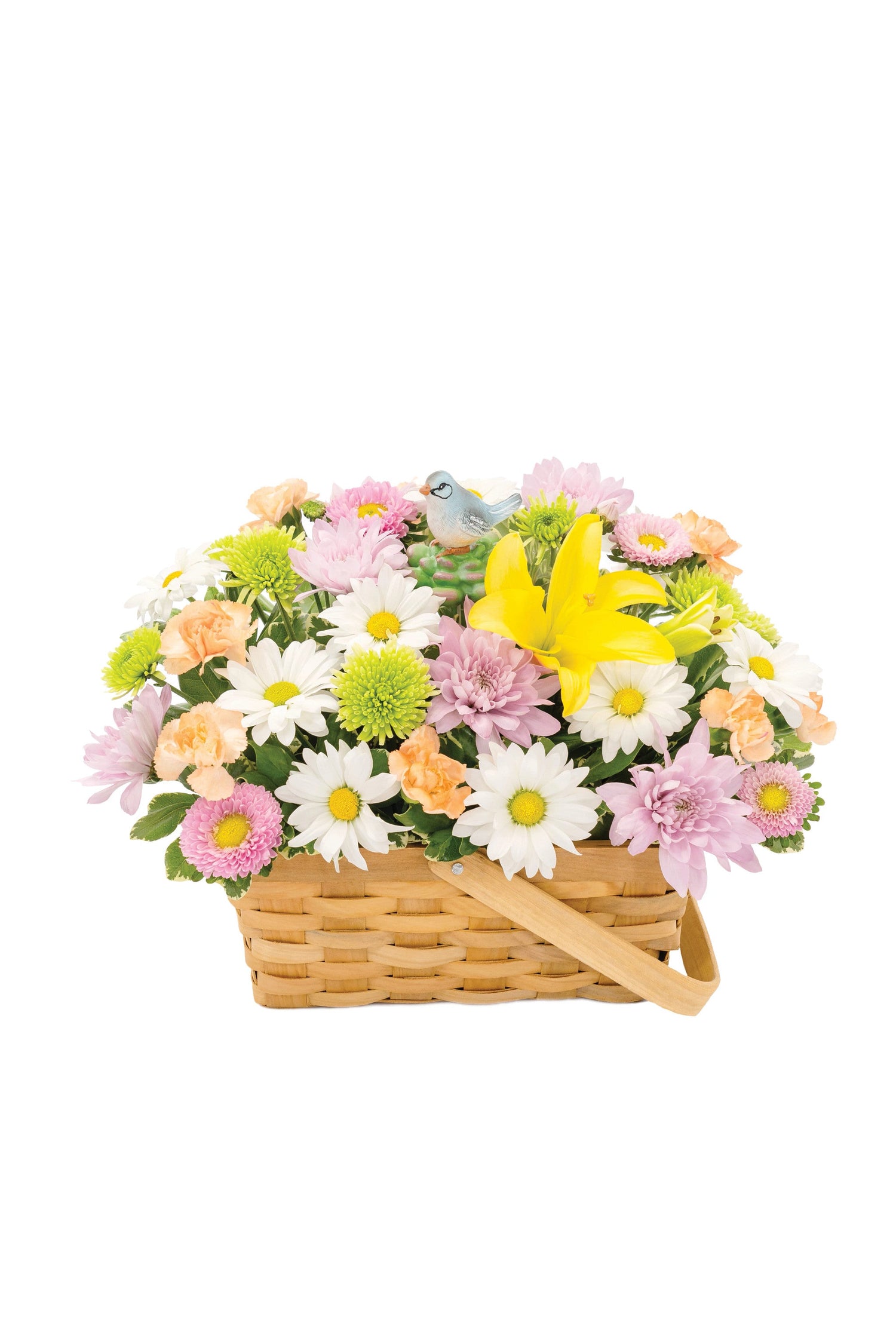 Ramo de pájaros cantores del sol