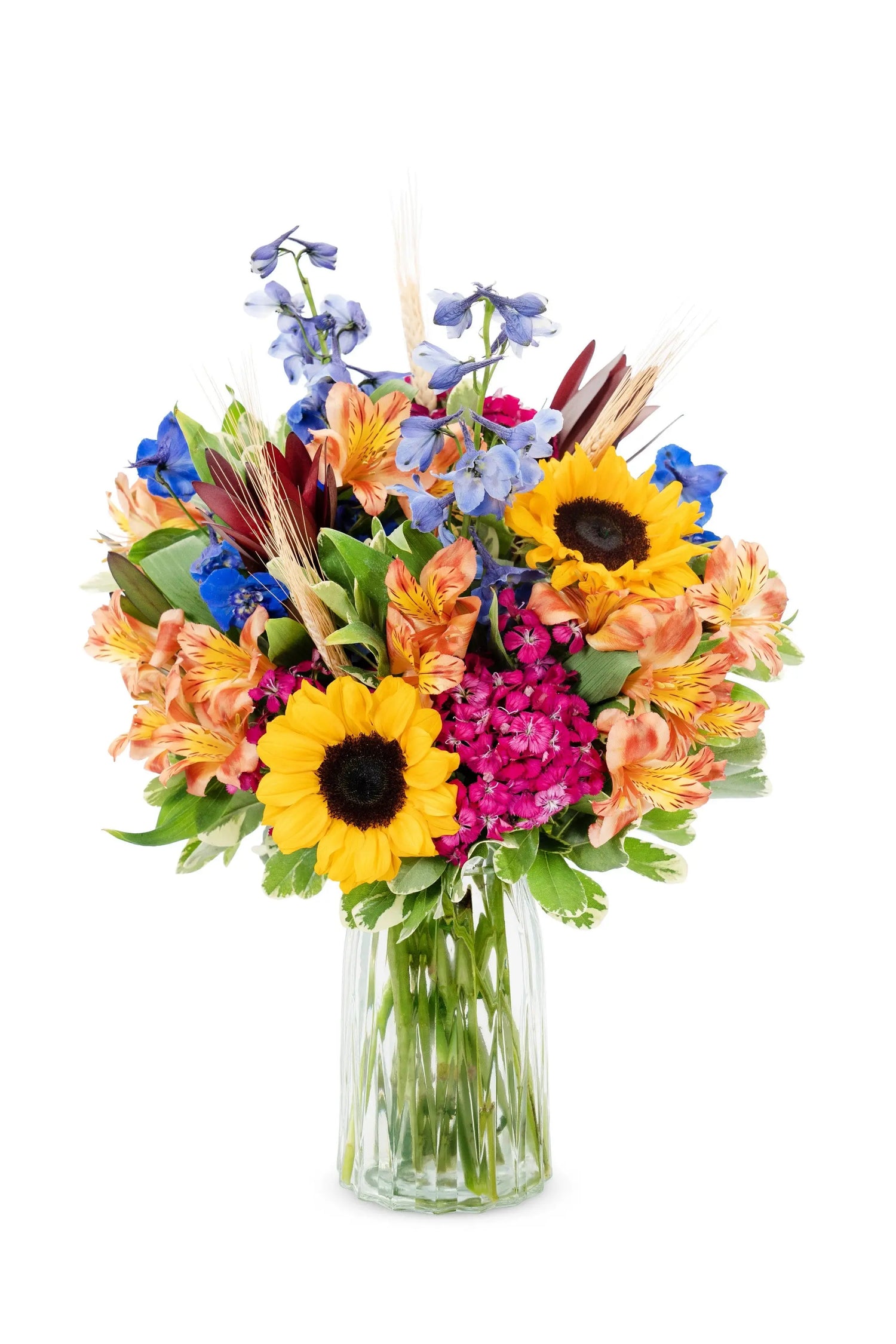 Autumn Kaleidoscope bloomexusa