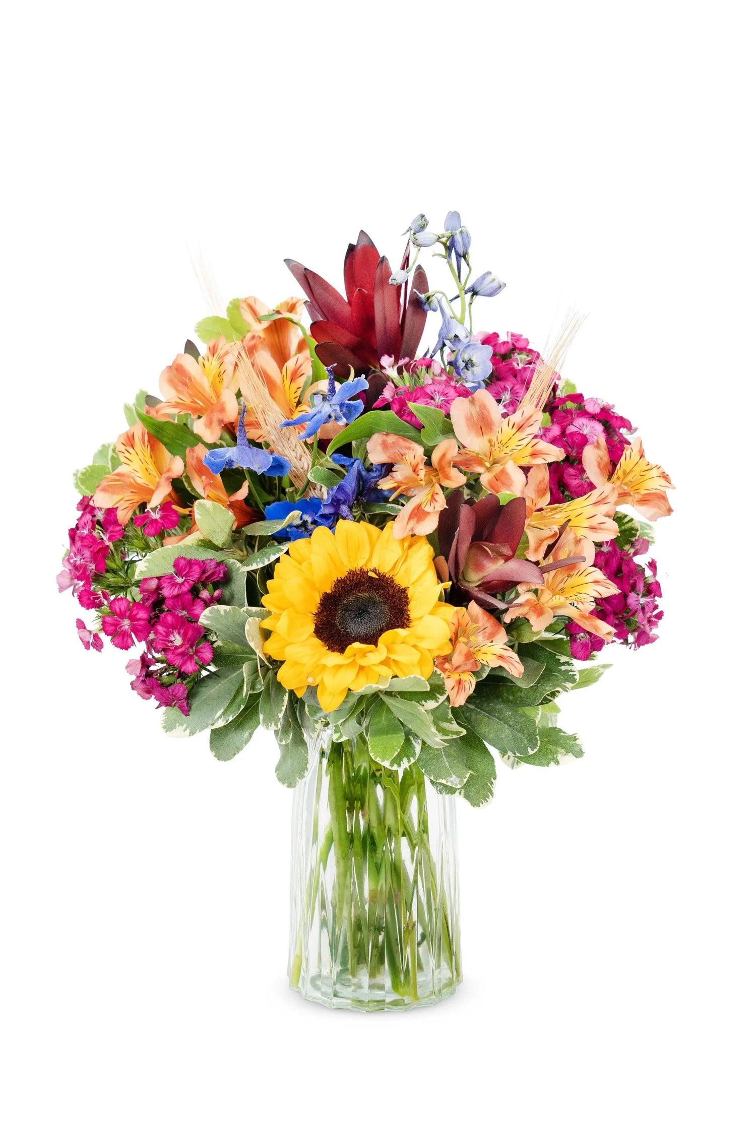 Autumn Kaleidoscope bloomexusa