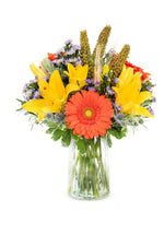 Autumn Blooms bloomexusa