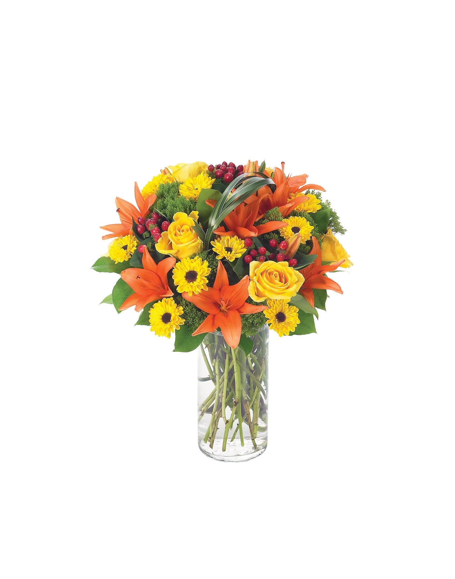 Sophistication automnale