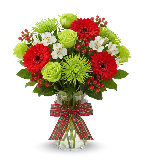 Bouquet of red, green, and white flowers in a clear vase with a plaid ribbon on a white background